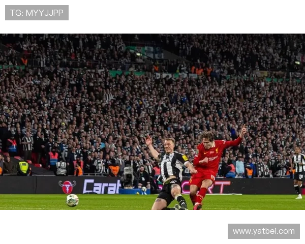 若纽卡未进欧战 埃迪豪未来堪忧 若纽卡未进欧战 埃迪豪未来堪忧